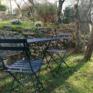 Nonna Paola Leivi